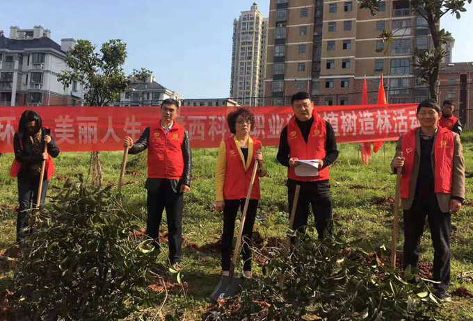 1624849761229599.jpg 201903131549307445.jpg