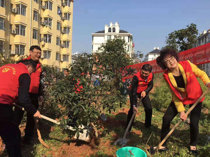 1624849770896818.jpg 201903131549444362.jpg