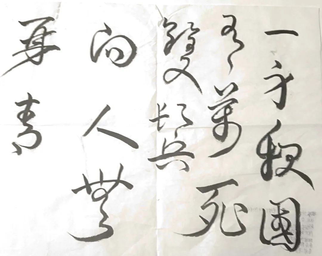 1704990283772545.jpg 640 (43).jpg