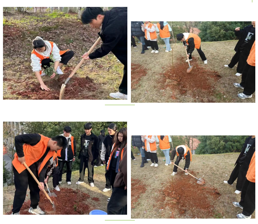 屏幕截图 2024-04-19 221026.png