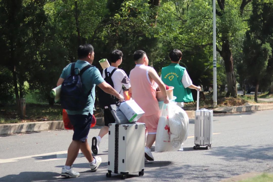 1725849488425917.jpg 1725849488425917.jpg