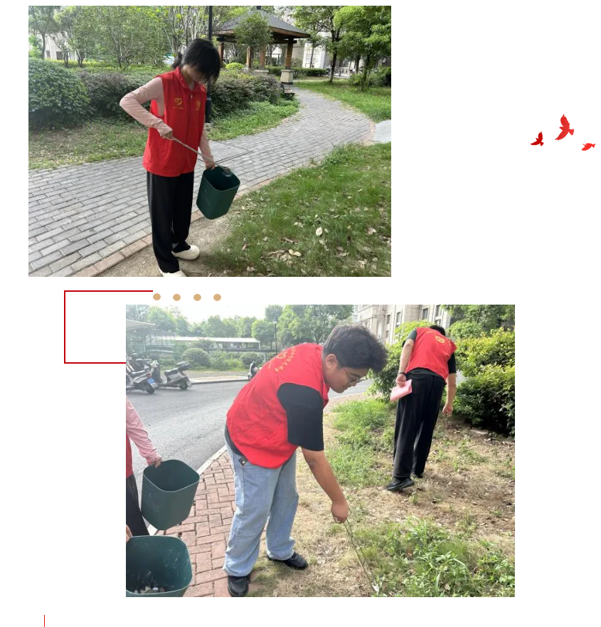 屏幕截图 2024-10-30 192242.png