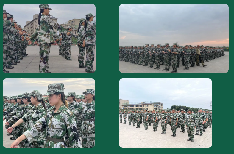 屏幕截图 2024-11-11 211919.png