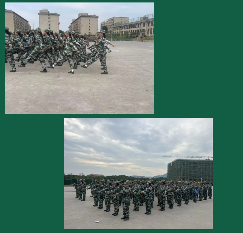 屏幕截图 2024-11-11 212056.png