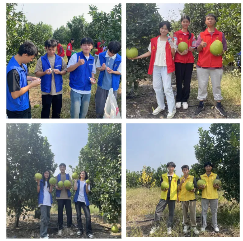 屏幕截图 2024-11-11 222719.png