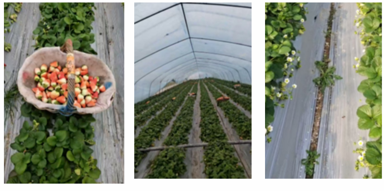 屏幕截图 2025-03-22 132010.png