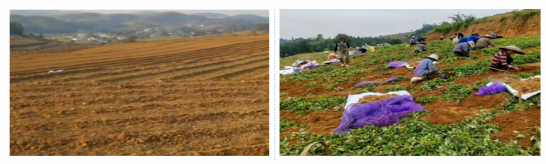 屏幕截图 2025-03-22 132032.png