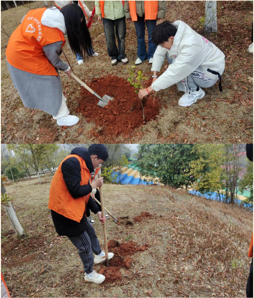 屏幕截图 2025-03-22 195339.png