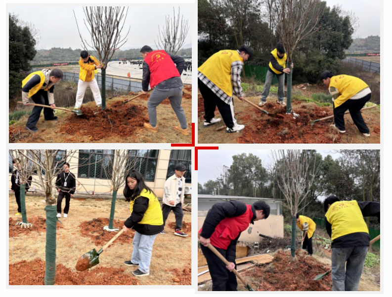 屏幕截图 2025-03-22 201225.png