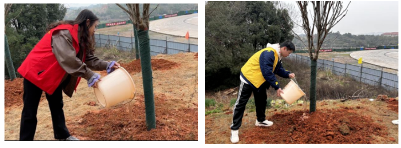 屏幕截图 2025-03-22 201254.png