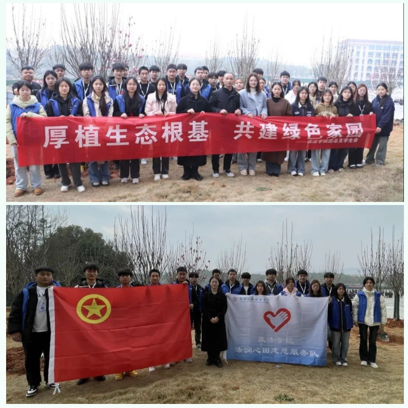 屏幕截图 2025-03-22 201516.png