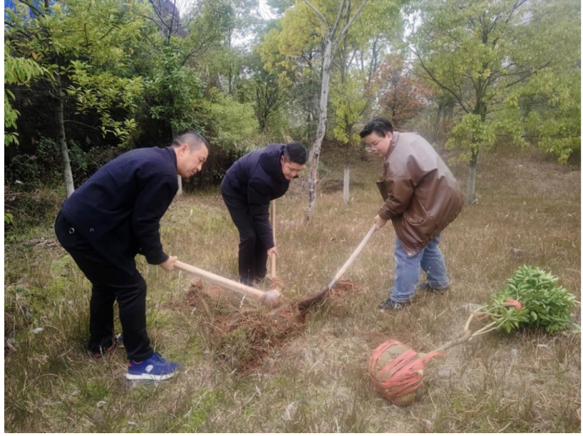 屏幕截图 2025-03-22 201941.png