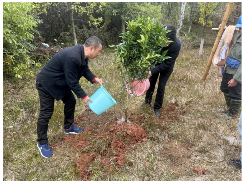 屏幕截图 2025-03-22 202002.png