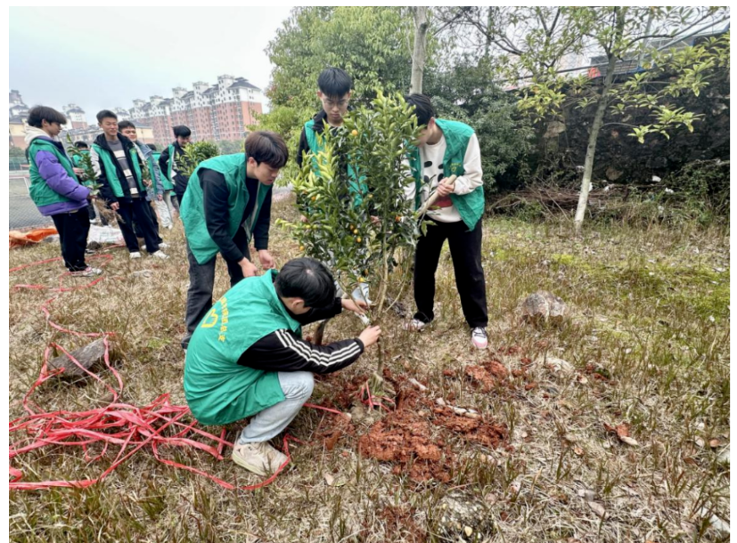 屏幕截图 2025-03-22 202023.png