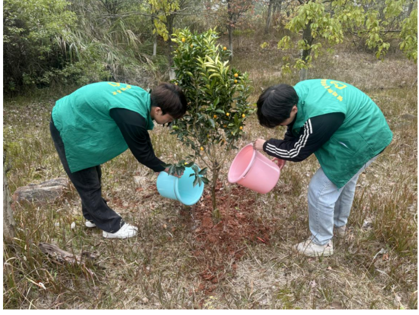 屏幕截图 2025-03-22 202033.png