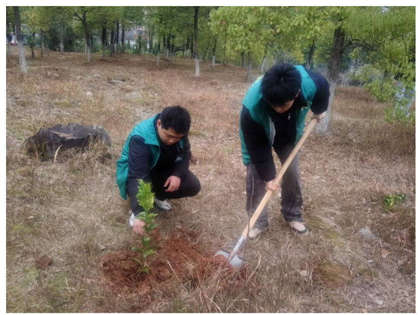 屏幕截图 2025-03-22 202125.png