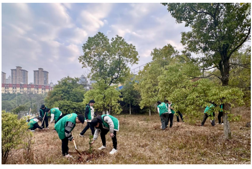 屏幕截图 2025-03-22 202146.png