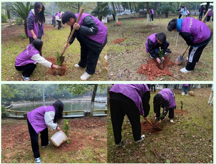 屏幕截图 2025-03-22 202853.png