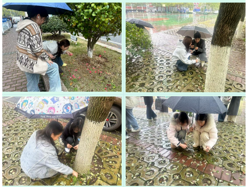 屏幕截图 2025-03-22 203235.png