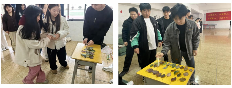 屏幕截图 2025-03-22 204759.png