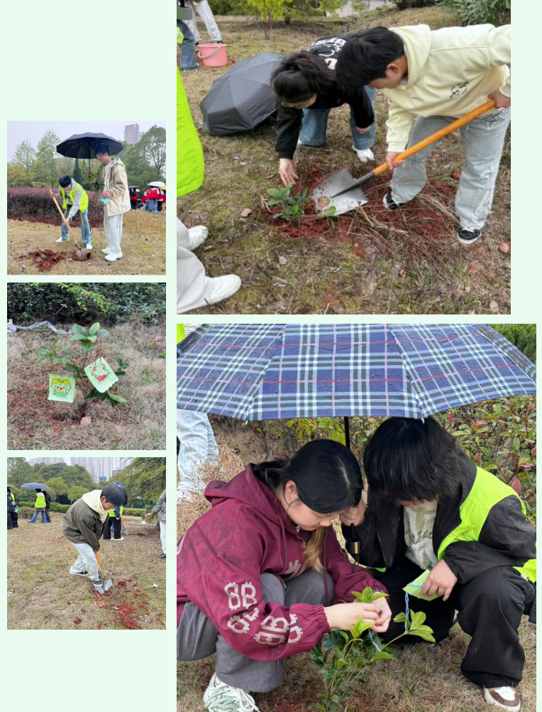 1742647848803226.png 屏幕截图 2025-03-22 205037.png