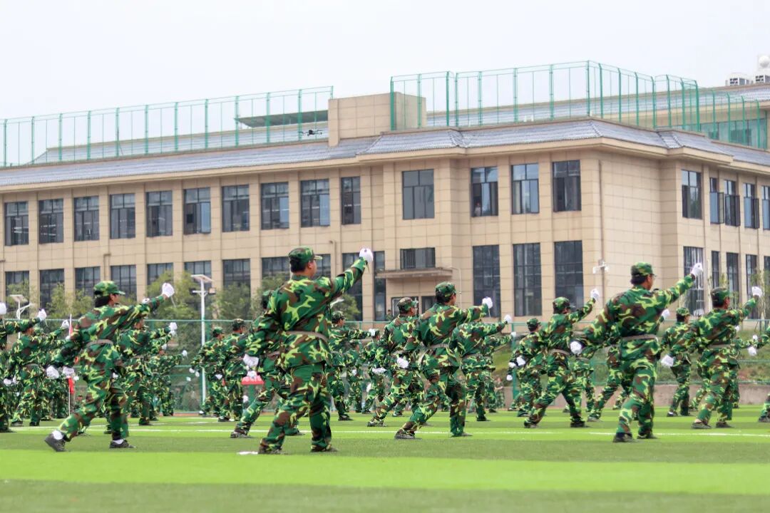 1759978628355094.jpg 1759978628355094.jpg