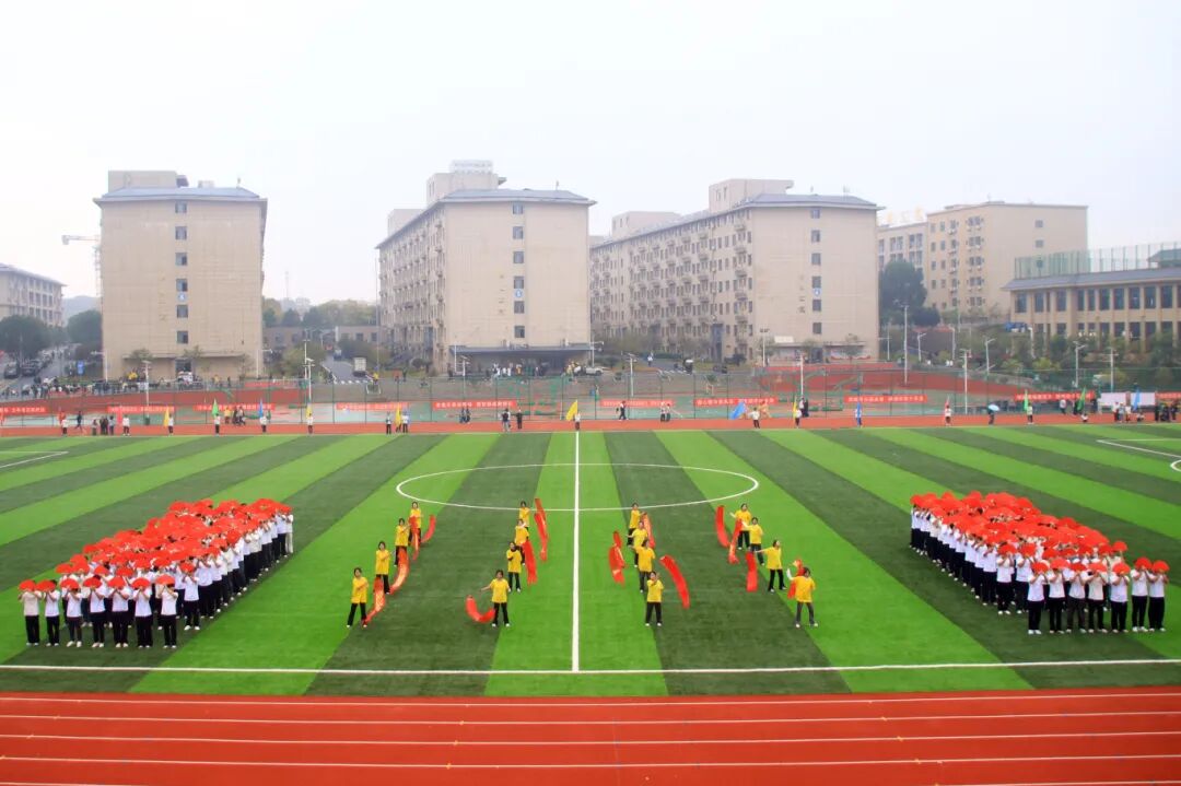 1762395437163888.jpg 1762395437163888.jpg