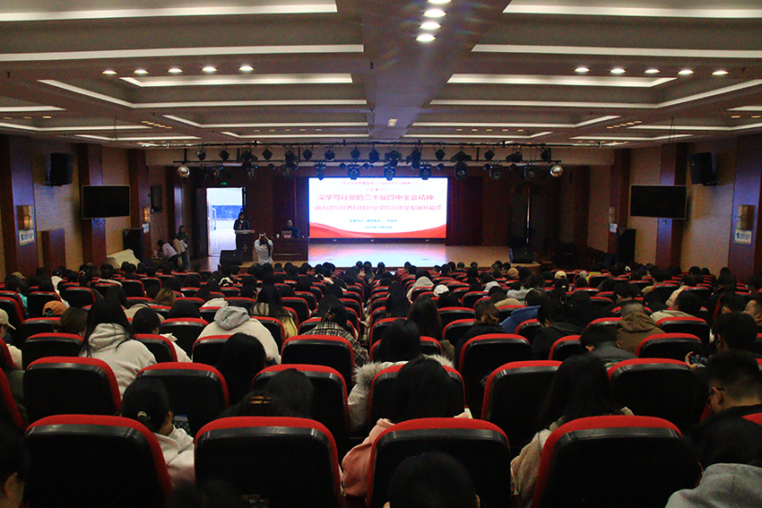 1765095022513447.jpg 1765095022513447.jpg