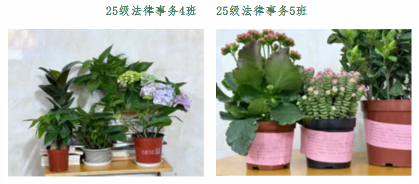 1773967936660642.png 625818ec-4ae3-4dc2-8cf6-cb4b97dab285.png